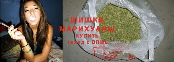 тгк Болохово