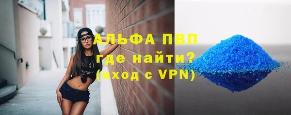 прущие грибы Богданович