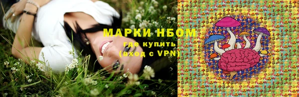 ПСИЛОЦИБИНОВЫЕ ГРИБЫ Болотное