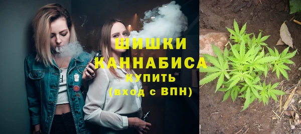 МДПВ Верхний Тагил