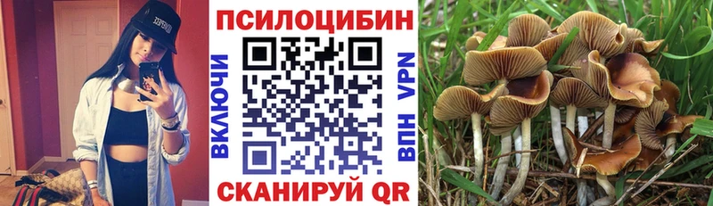 Галлюциногенные грибы ЛСД купить наркотики сайты Гремячинск